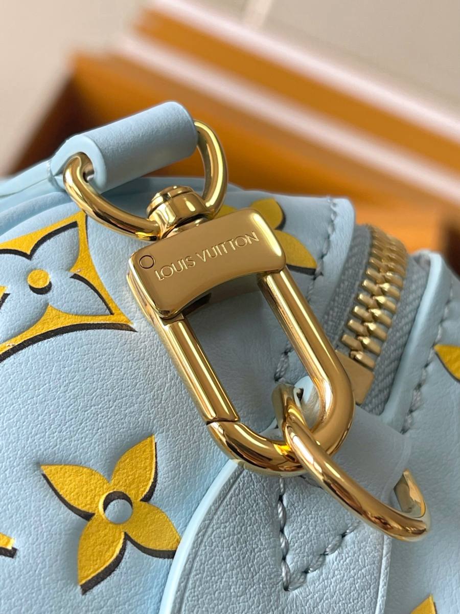 Louis Vuitton Speedy 81C9
