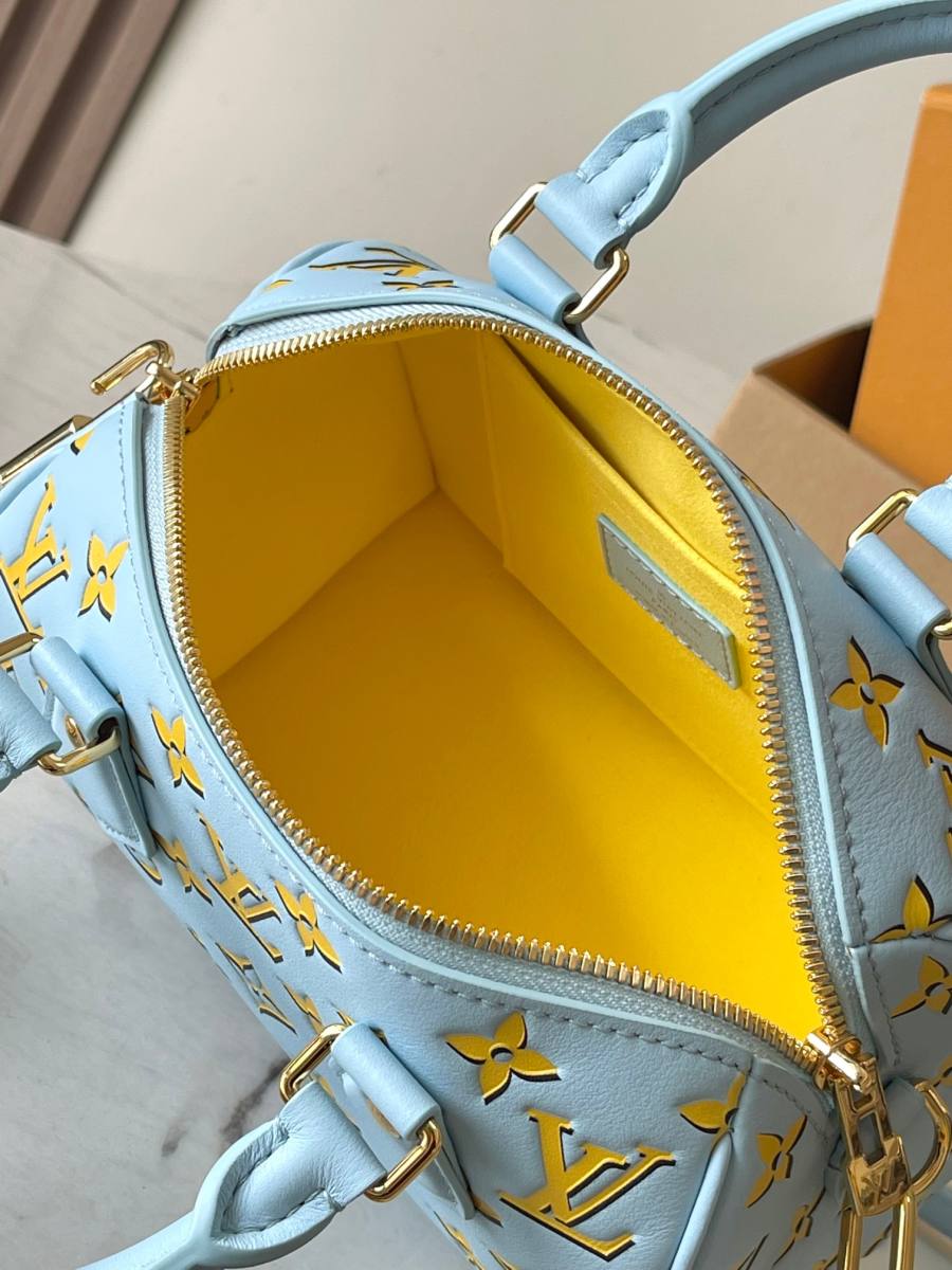 Louis Vuitton Speedy 81C9