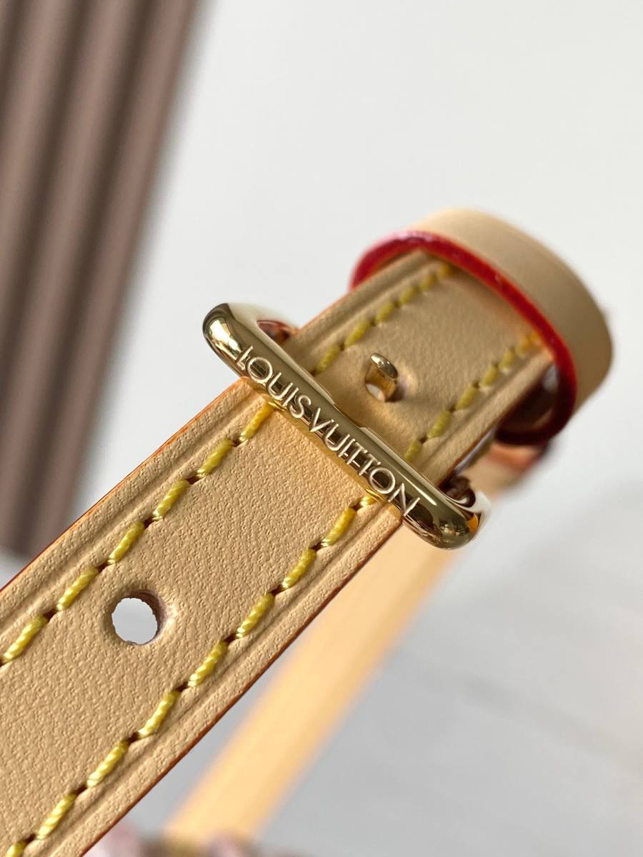 Louis Vuitton Speedy Bandouliere 20 2A039 20.5 x 1 801E