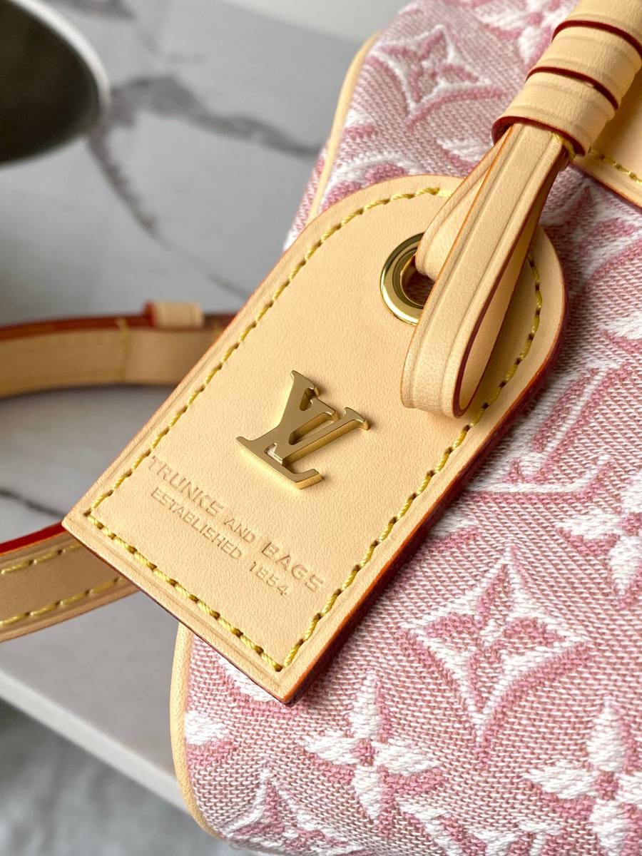 Louis Vuitton Speedy Bandouliere 20 2A039 20.5 x 1 801E