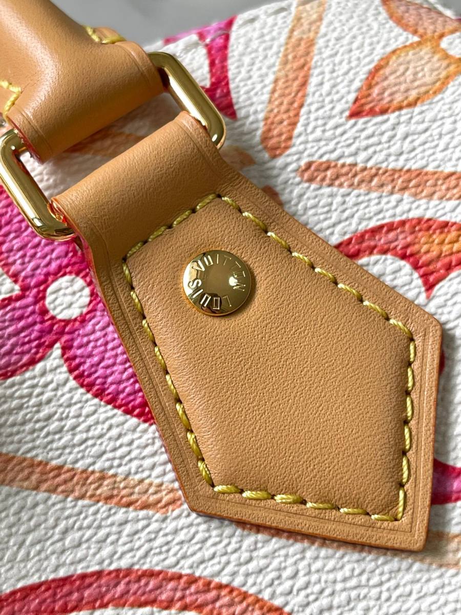 Louis Vuitton Speedy Bandouliere 20 BF2F