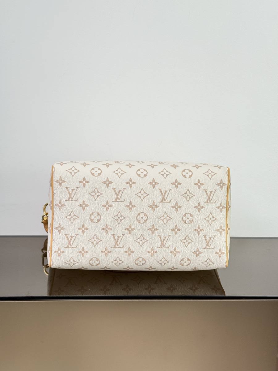 Louis Vuitton Speedy Soft 30 Lucky M15108 30 x 21 x 17 A1F6