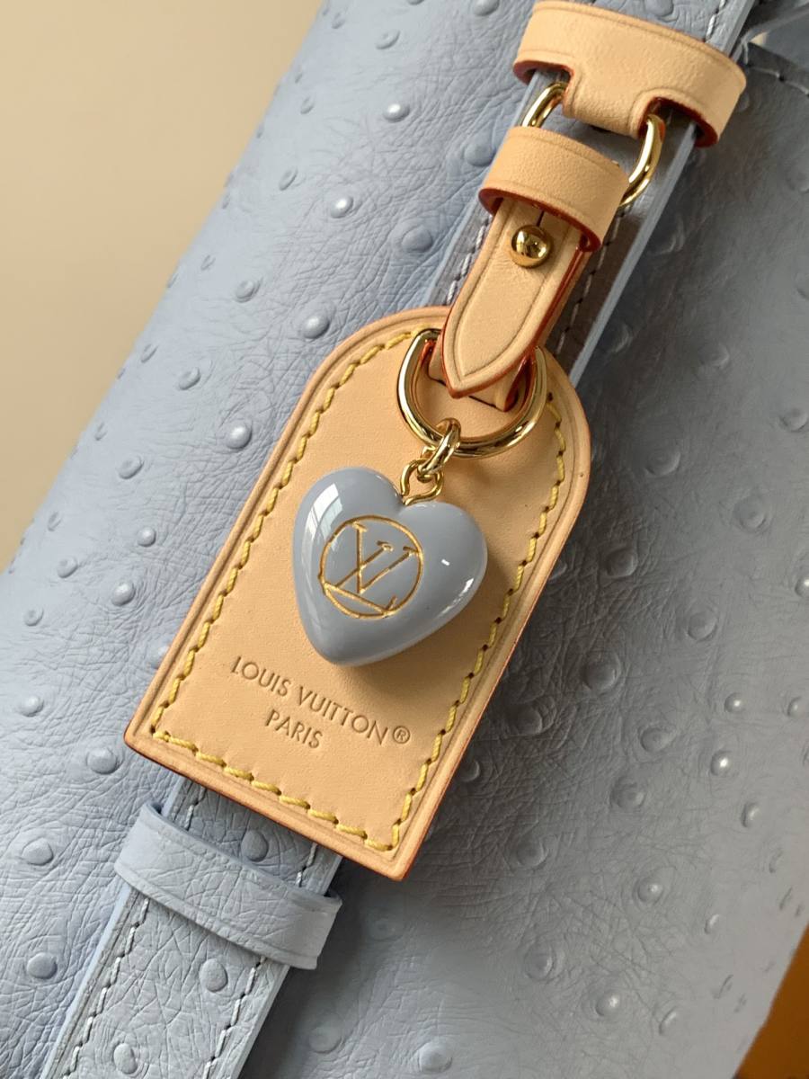Louis Vuitton Handbag M13480 5976