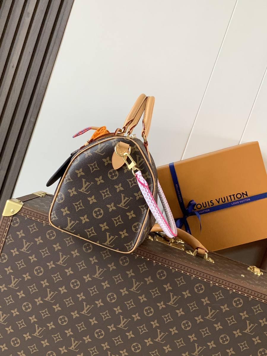 Louis Vuitton Handbag M15107 0B0B