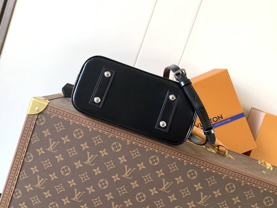 Louis Vuitton Handbag M24645 E203