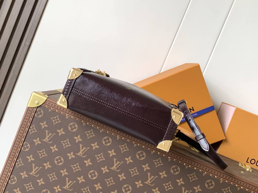 Louis Vuitton Handbag M25669 E73C