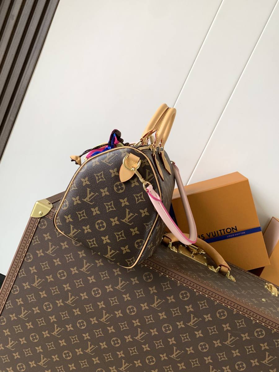 Louis Vuitton Handbag M26498 1773
