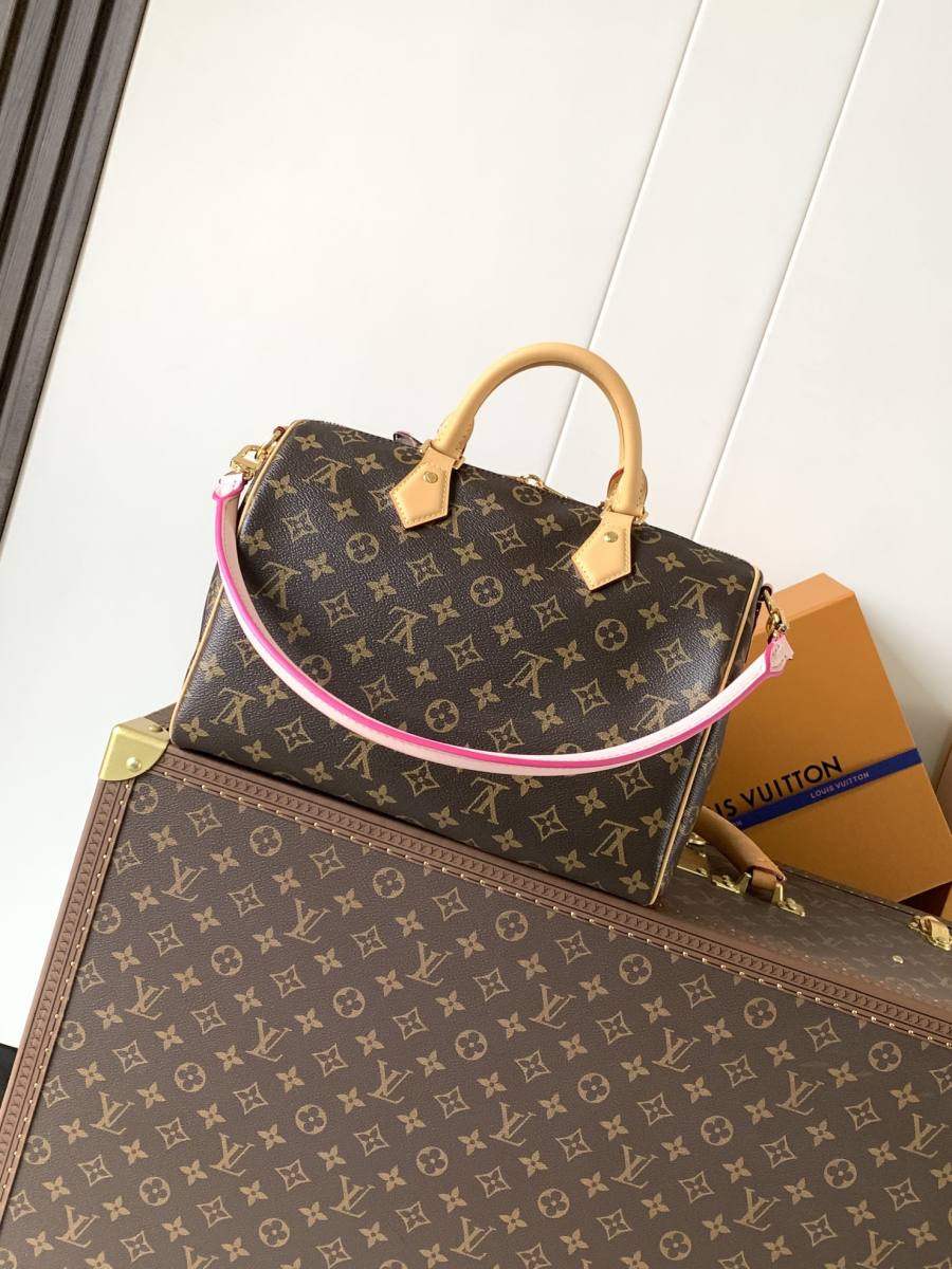 Louis Vuitton Handbag M26498 1773