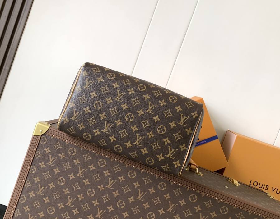Louis Vuitton Handbag M26498 1773