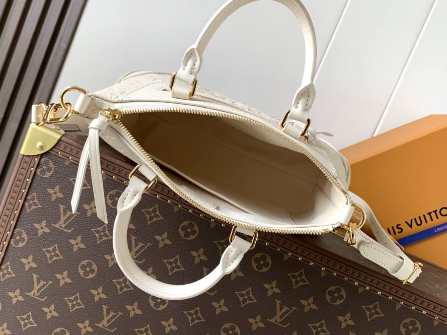 Louis Vuitton Handbag M29153 A5D5