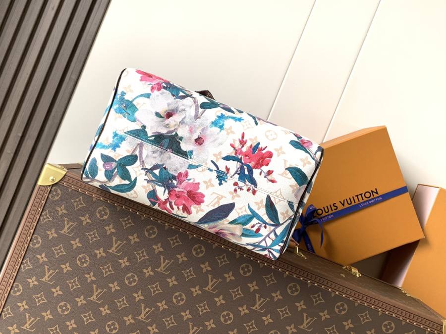 Louis Vuitton Speedy 30 M29066 30 x 21 x 17 B238