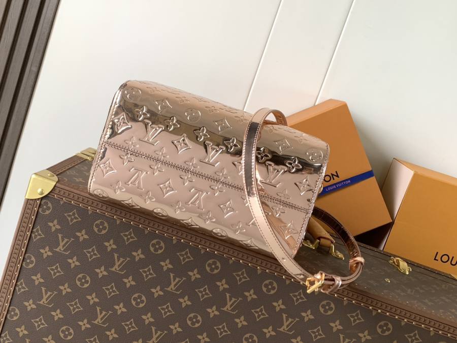 Louis Vuitton Speedy M26497 LV AE1C