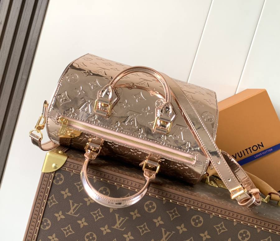 Louis Vuitton Speedy M26497 LV AE1C