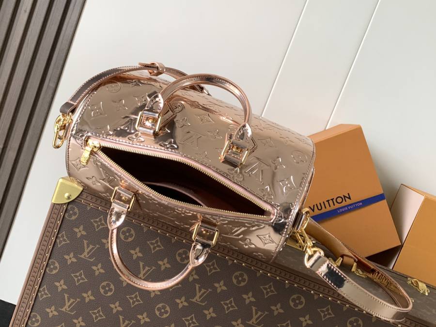Louis Vuitton Speedy M26497 LV AE1C