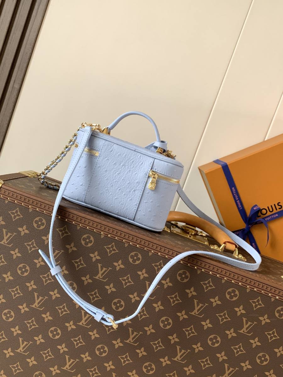 Louis Vuitton Vanity PM M85806 23 x 14 x 10 80F9