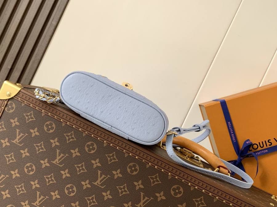 Louis Vuitton Vanity PM M85806 23 x 14 x 10 80F9